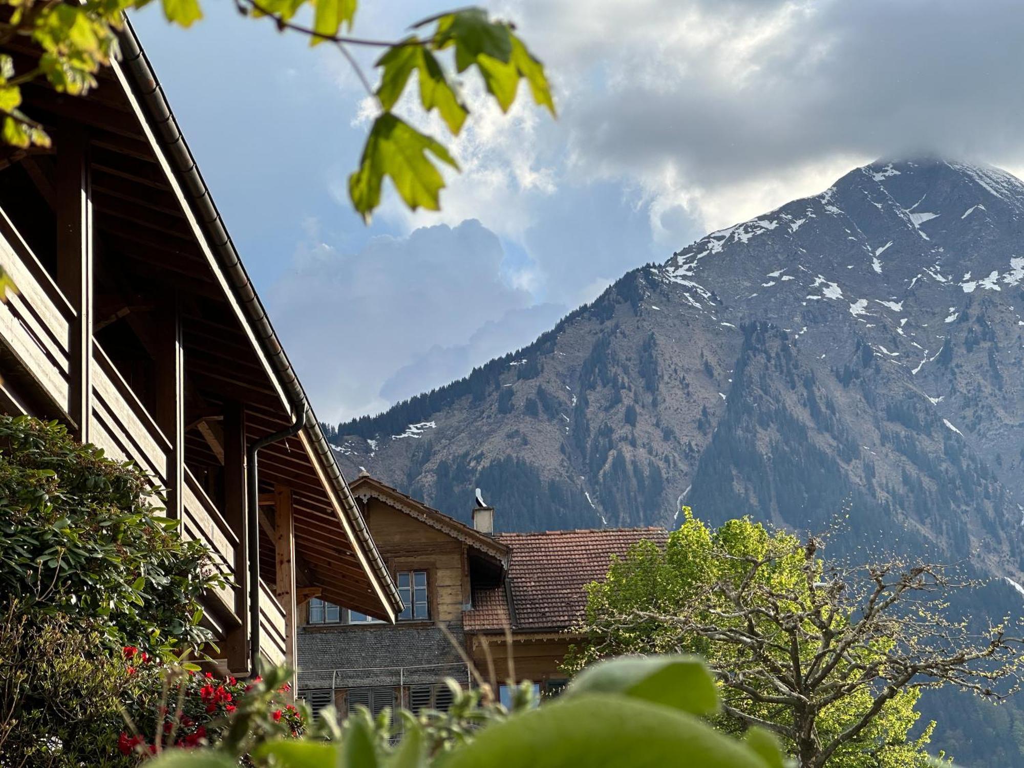 Hotel Aeschipark Aeschi Bei Spiez Buitenkant foto