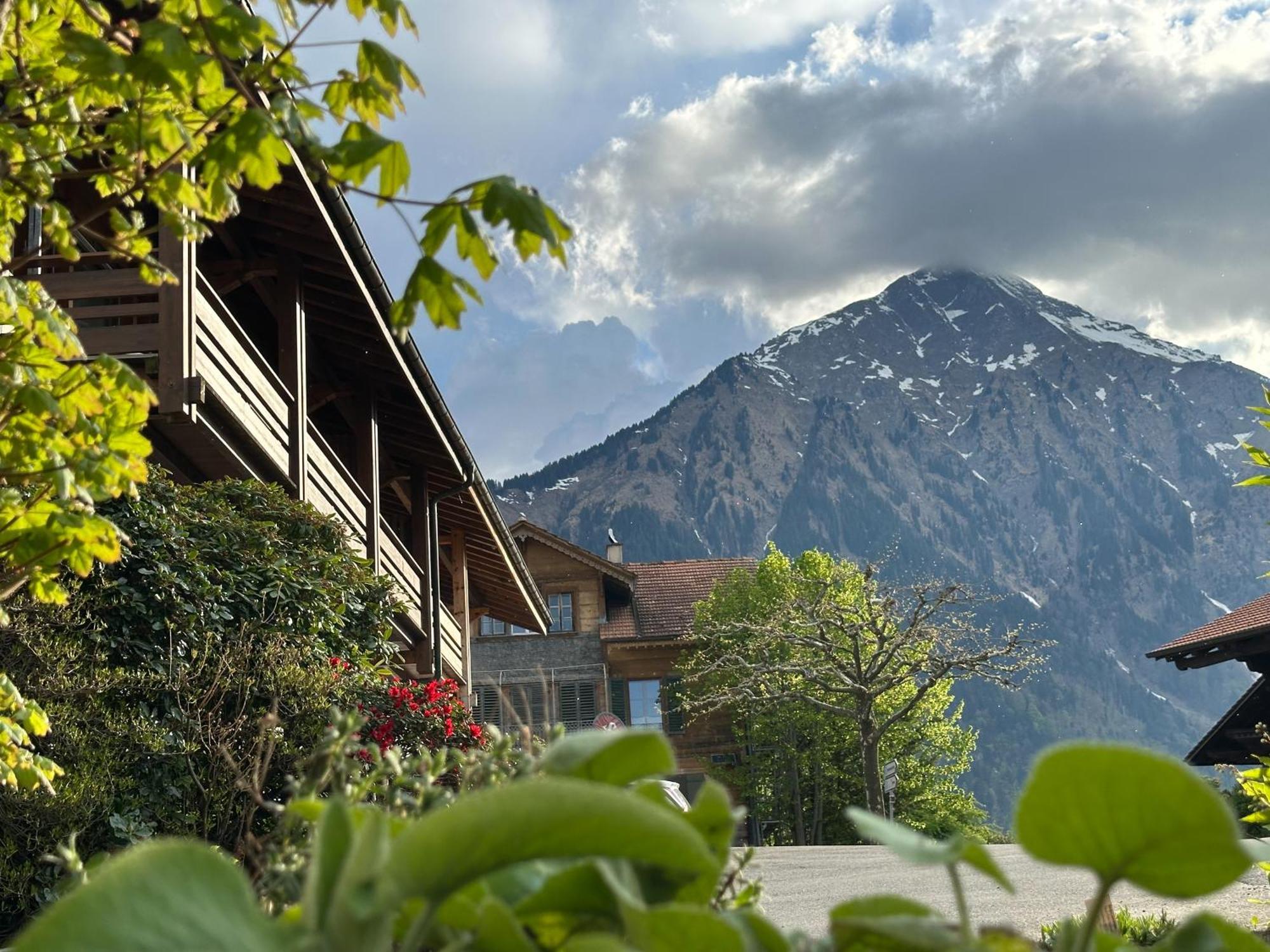 Hotel Aeschipark Aeschi Bei Spiez Buitenkant foto